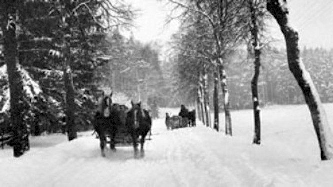 Hitler's Eastprussia