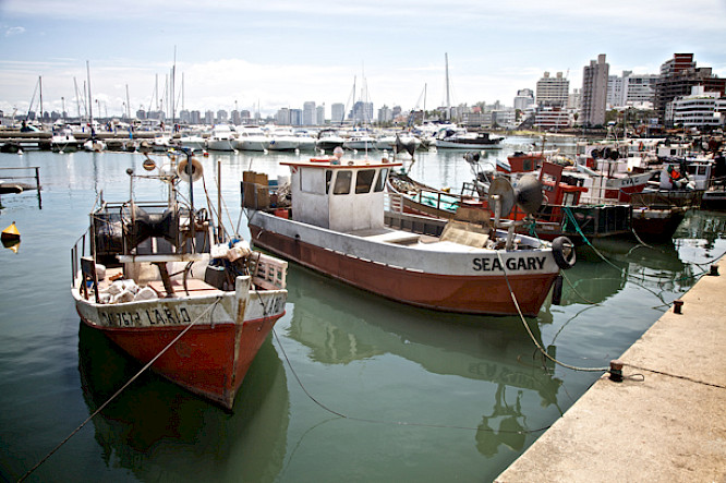 Mysterious Marinas