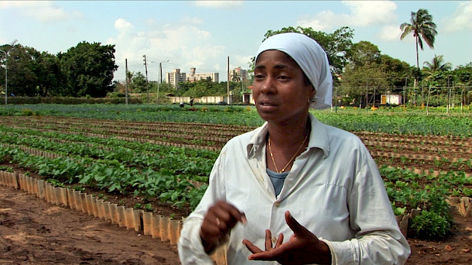 Voices of Transition