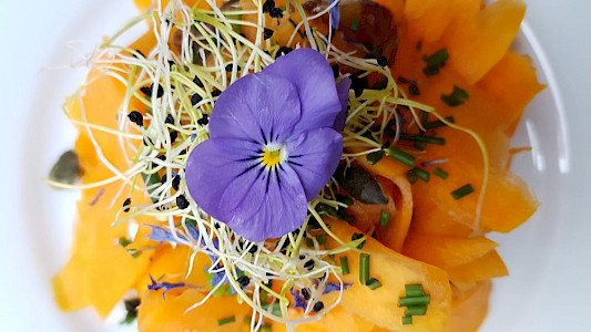 GOOD &ndash; BETTER &ndash; VEGAN?