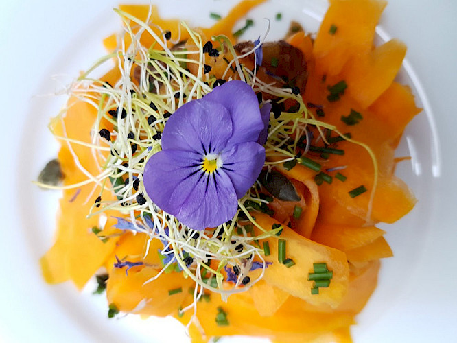 Albatross World Sales GmbH