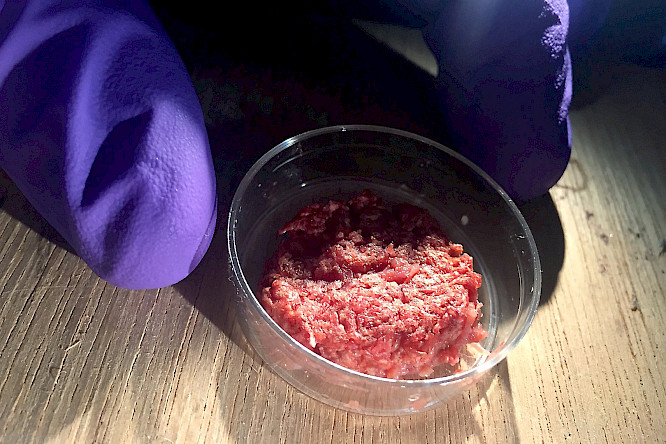 Albatross World Sales GmbH