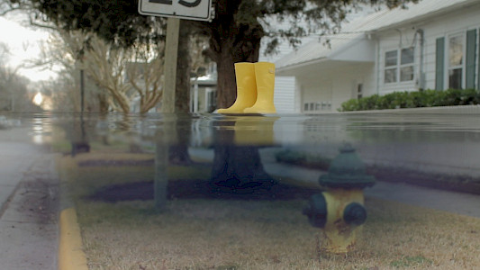 LITTLE YELLOW BOOTS &ndash; A STORY FOR THE FUTURE