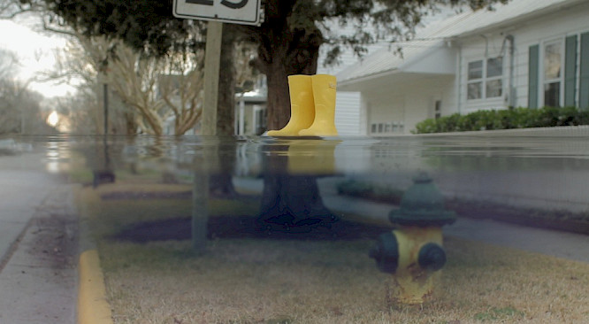 Deckert Distribution GmbH