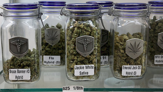 THE COLORADO GREEN RUSH