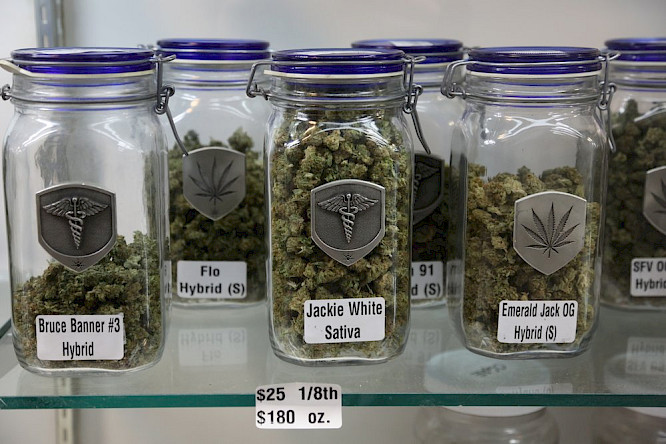 Bildersturm | NEW DOCS