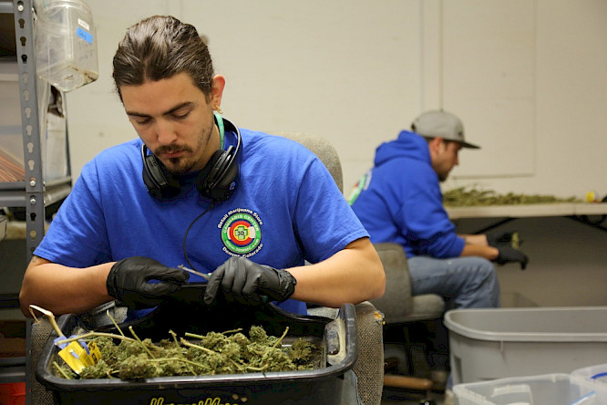 Bildersturm | NEW DOCS