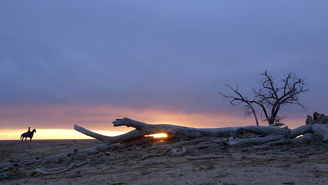 telekult Film- und Medienprod. GmbH