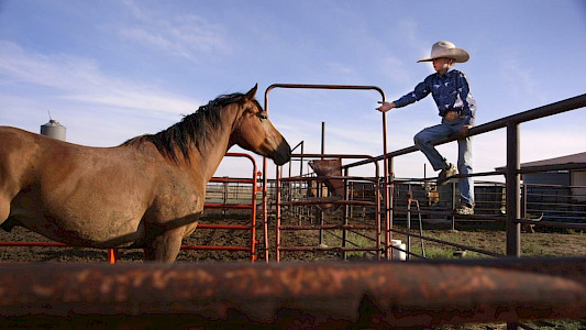 CROWLEY - EVERY COWBOY NEEDS HIS HORSE