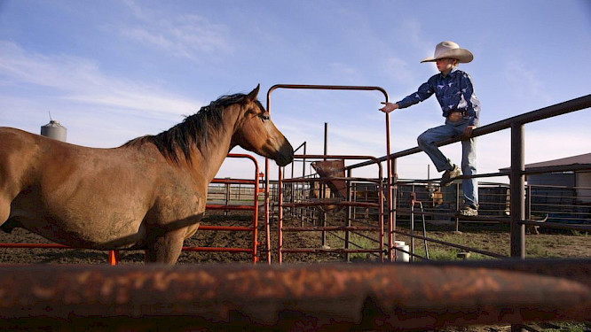 telekult Film- und Medienprod. GmbH