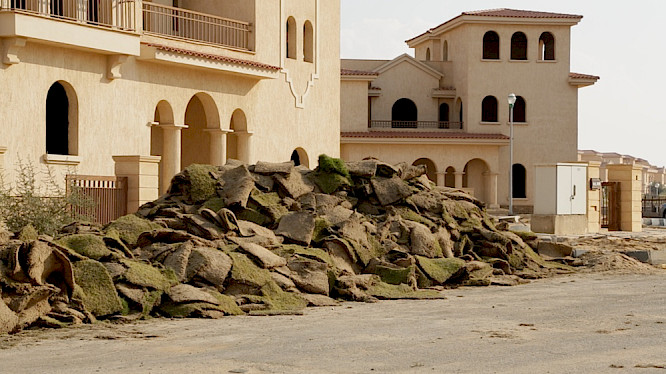 Daniel K&ouml;tter, Constanze Fischbeck