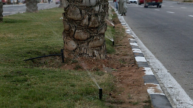 Daniel K&ouml;tter, Constanze Fischbeck