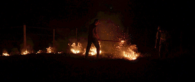 Katharina Diessner | FAKTURA FILM