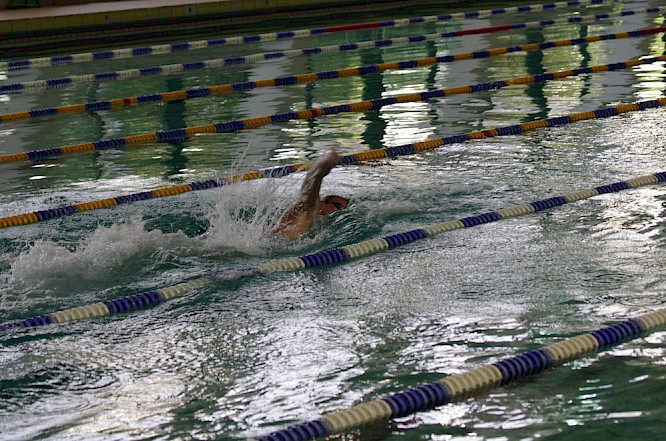 Albatross World Sales GmbH