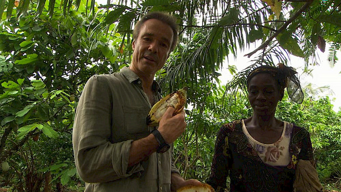 TELEKULT Film- & Medienprod. GmbH