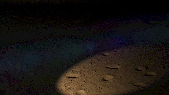 FOOTPRINTS INTO THE PAST