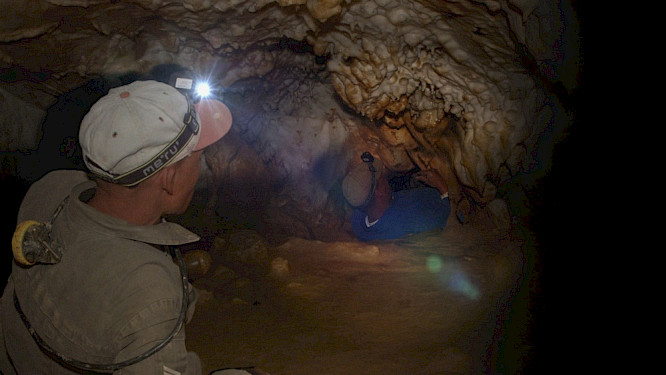 FOOTPRINTS INTO THE PAST