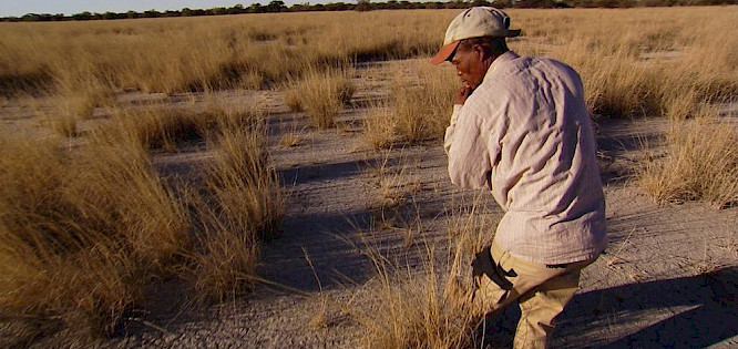 FOOTPRINTS INTO THE PAST