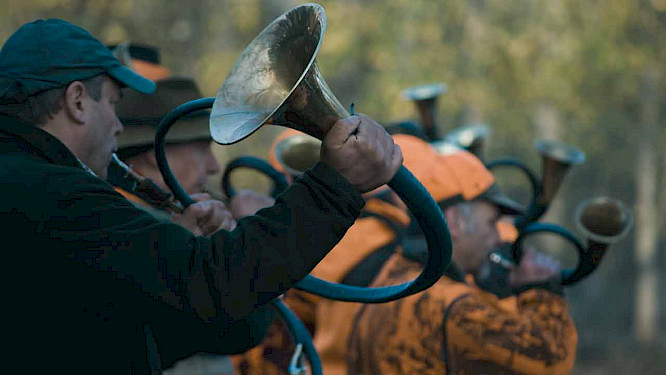 Wüste Film West GmbH