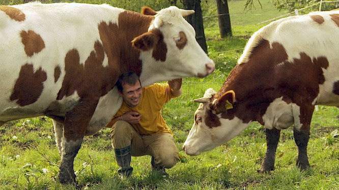 In the Name of the Animals