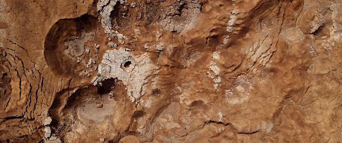 2019 Manuel L&uuml;bbers | taro films | HFF Munich