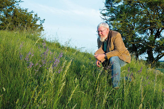 Vineta Film | Salzgeber