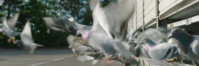 OnScreen Media GbR | Sebastian B&auml;umler