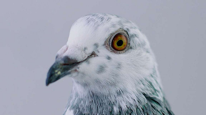 OnScreen Media GbR | Sebastian B&auml;umler