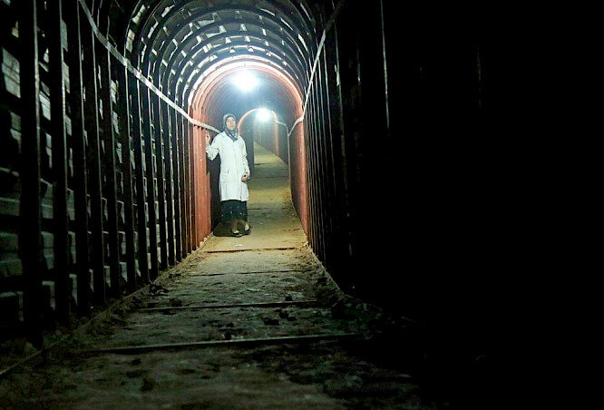 2019 ma.ja.de. | dogwoof