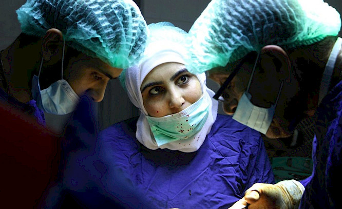 2019 NATIONAL GEOGRAPHIC | DOGWOOF