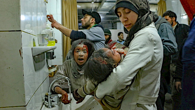 2019 NATIONAL GEOGRAPHIC | DOGWOOF