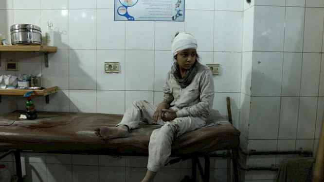 2019 NATIONAL GEOGRAPHIC | DOGWOOF