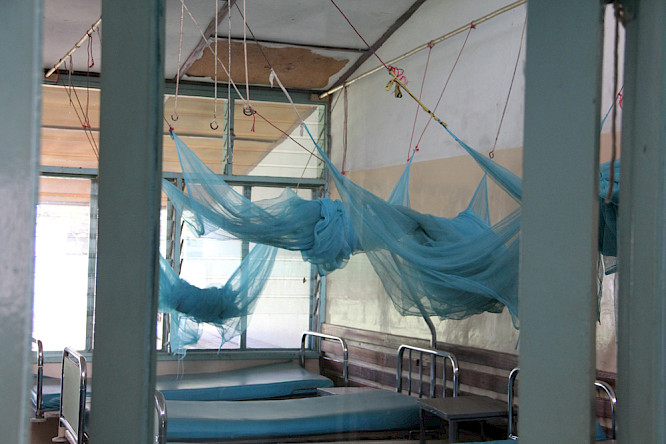 2019 POOL DOKS | zero one