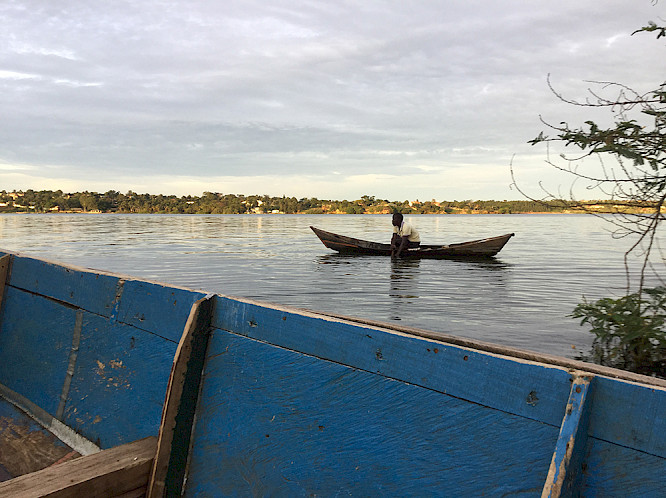 2019 POOL DOKS | zero one