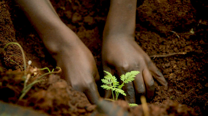 2019 POOL DOCKS | filmdelights