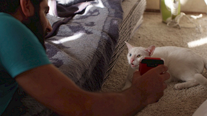 2019 Nikola Krivokuca 