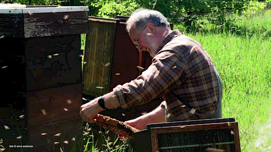 AT THE EDGE - BEEKEEPERS IN MECKLENBURG