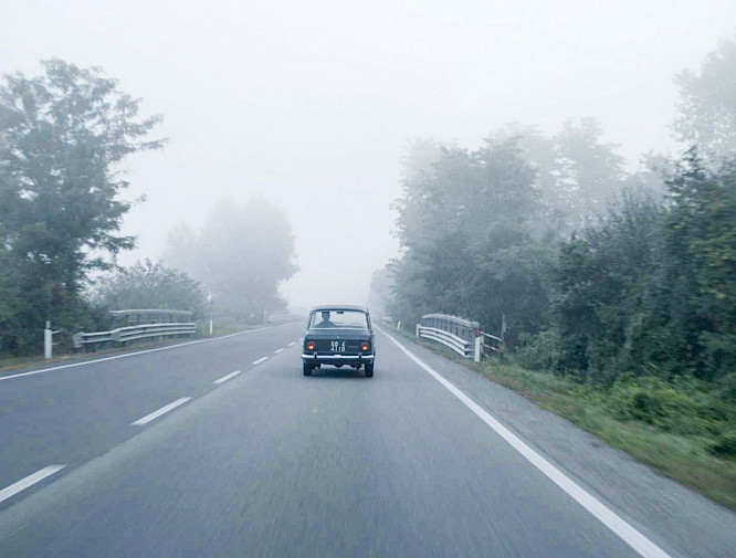 2019 Neue Visionen Filmverleih