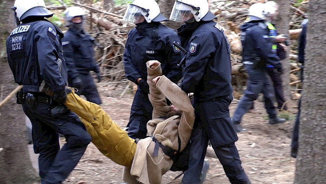 Trees of Protest