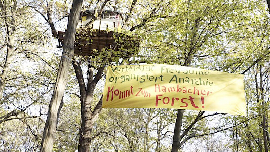 TREES OF PROTEST