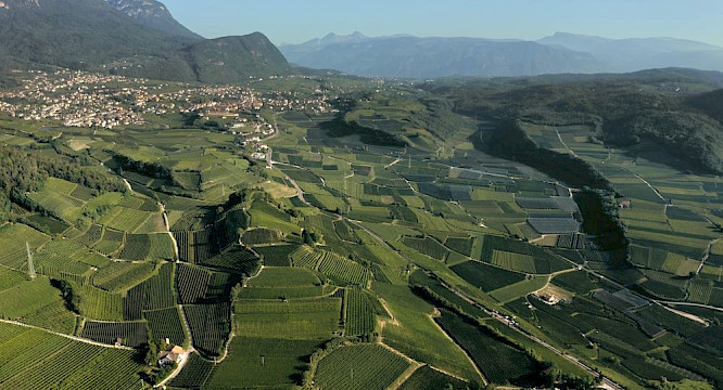 2019 EIKON Media GmbH | Magnetfilm GmbH