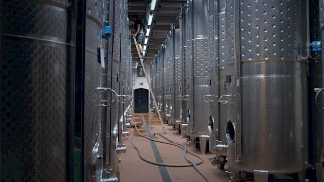 2019 EIKON Media GmbH | Magnetfilm GmbH