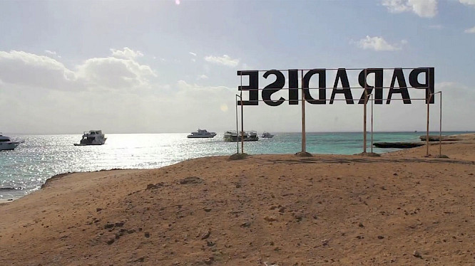 2018 RFF &ndash; Real Fiction Filmverleih | Wide House