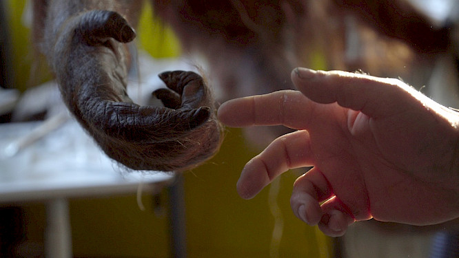 2020 Dieter St&uuml;rmer