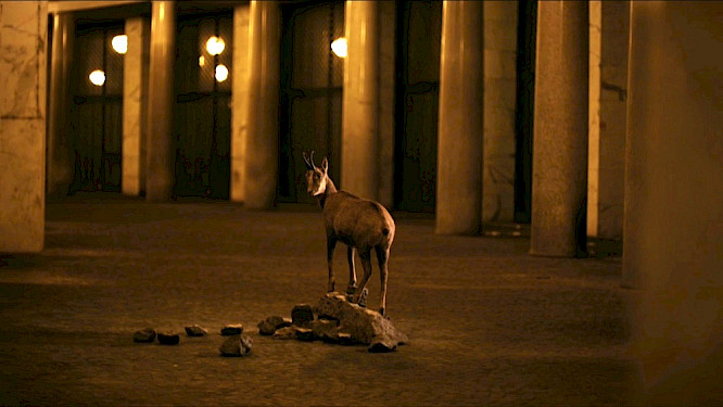 2020 Dieter St&uuml;rmer