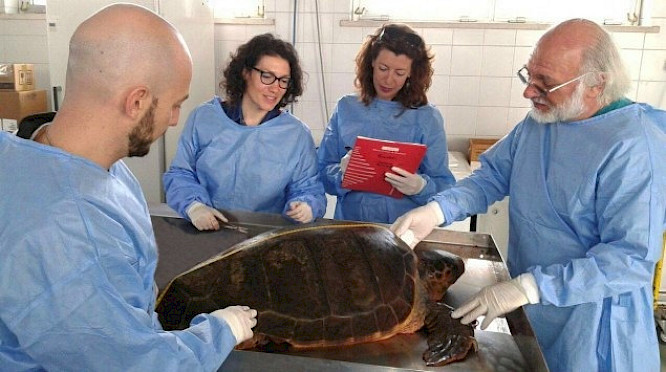 2020 Dieter St&uuml;rmer