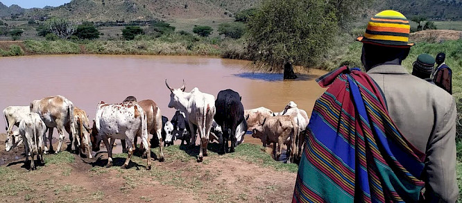 2019 Neue&nbsp;Celluloid&nbsp;Fabrik | Albatross Worldsales GmbH