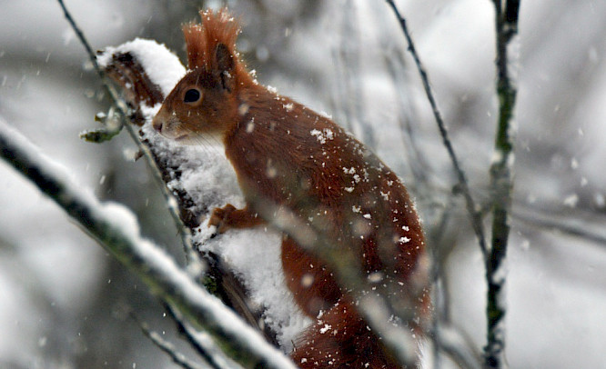 2019 Constantin Film Verleih GmbH/ J&ouml;rg Adolph