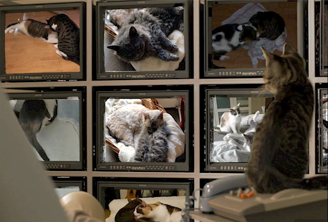 2019 Interzone Pictures