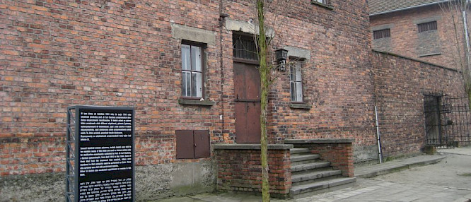 2019 Medienkontor Winterberg & Nagel | Saxonia Entertainment | Cinephil